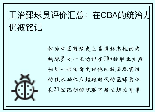 王治郅球员评价汇总：在CBA的统治力仍被铭记